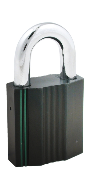 RG2646 Hänglås Garant Plus 10 mm hängare