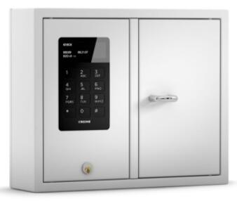 9001 S Nøgleskab i System -serien med 1 dør og 29 nøglekroge.