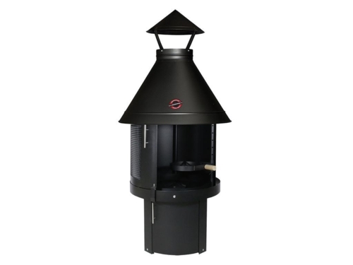 Muurikka t.g city, antik sort, lav