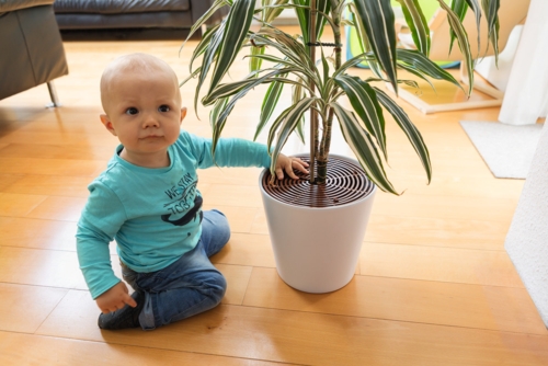 ABUS Plant Protector, 2 pcs.