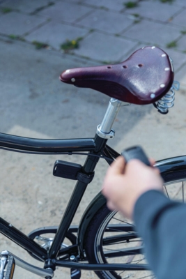 Alarmbox RC TwinSet (2 boxes, 2 remotes)