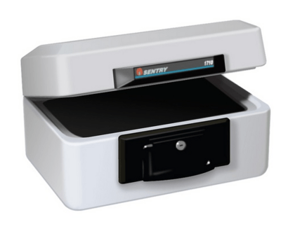 Sentry 1710 datakuffer